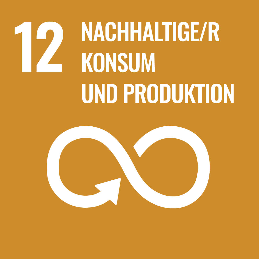 Nachhaltige/r Konsum und Produktion