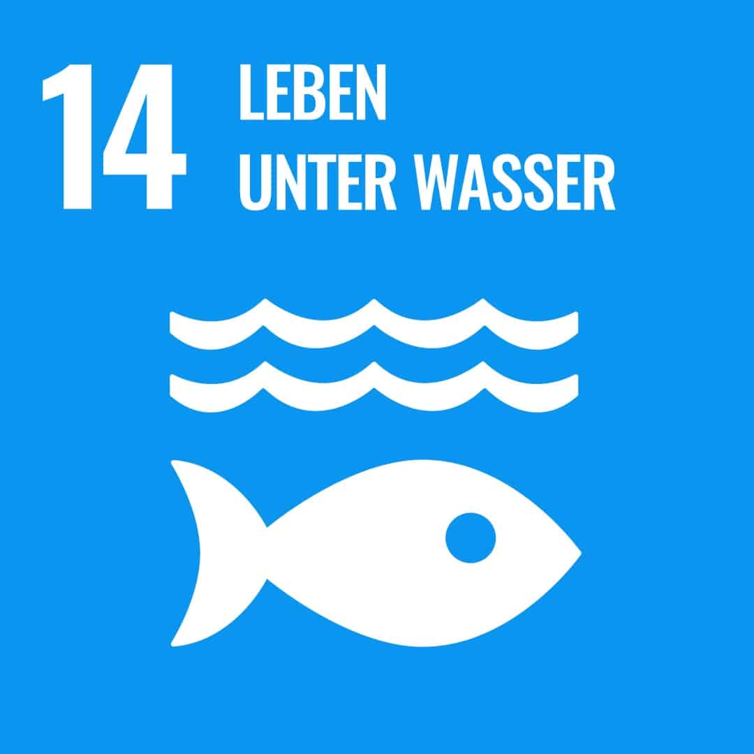 Leben unter Wasser